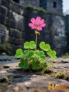 Chiến lược cho kỷ nguyên "Grow with People"
