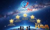 5 Điểm Sáng Quyết Định Thành Công Cho Coach Mới Bắt Đầu: