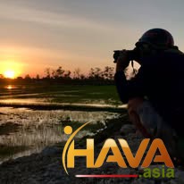 Chiến lược: Due Diligence