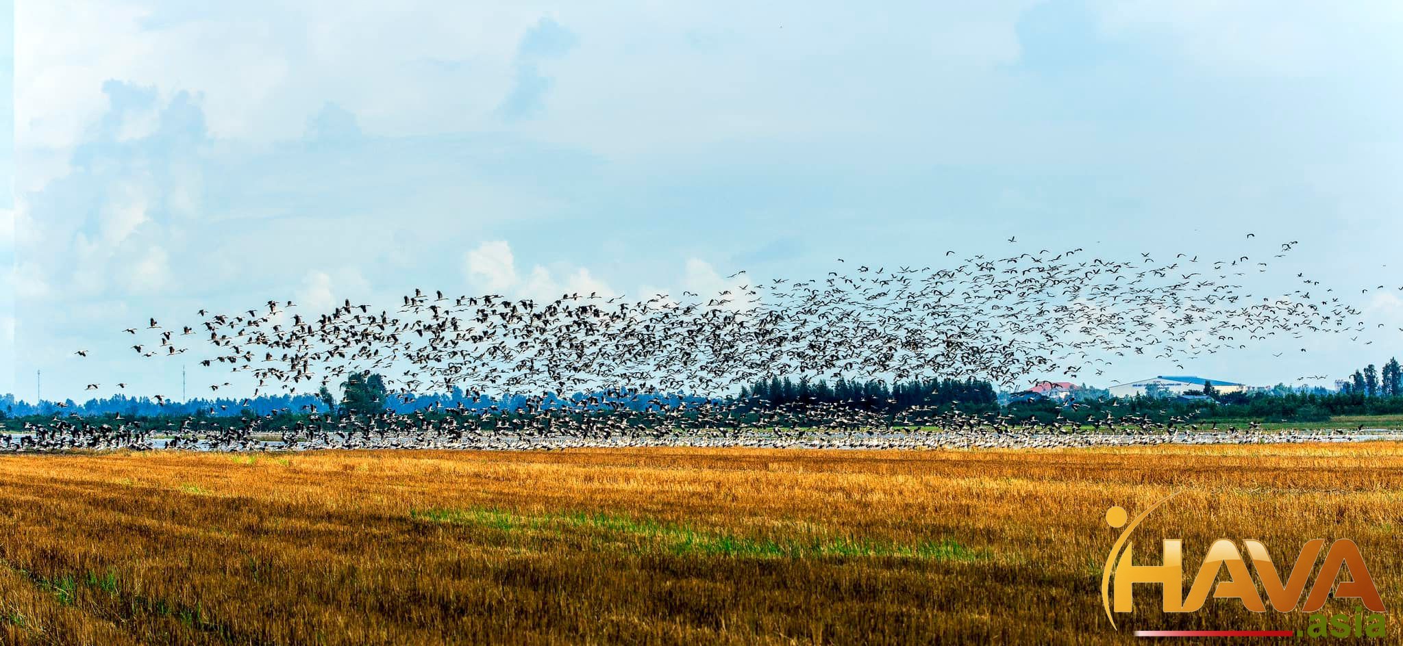 biến Lối sống Tinh hoa thành Gia sản Bền vững