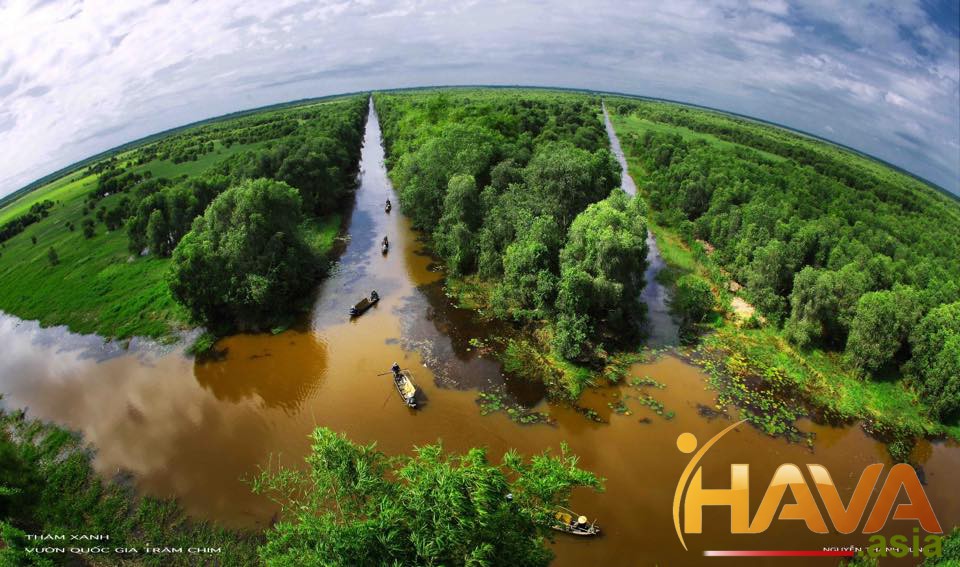 nhận diện luồng Dòng chảy Tài chính