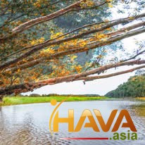 Thương hiệu là chữ Tín của doanh nghiệp với thị trường.