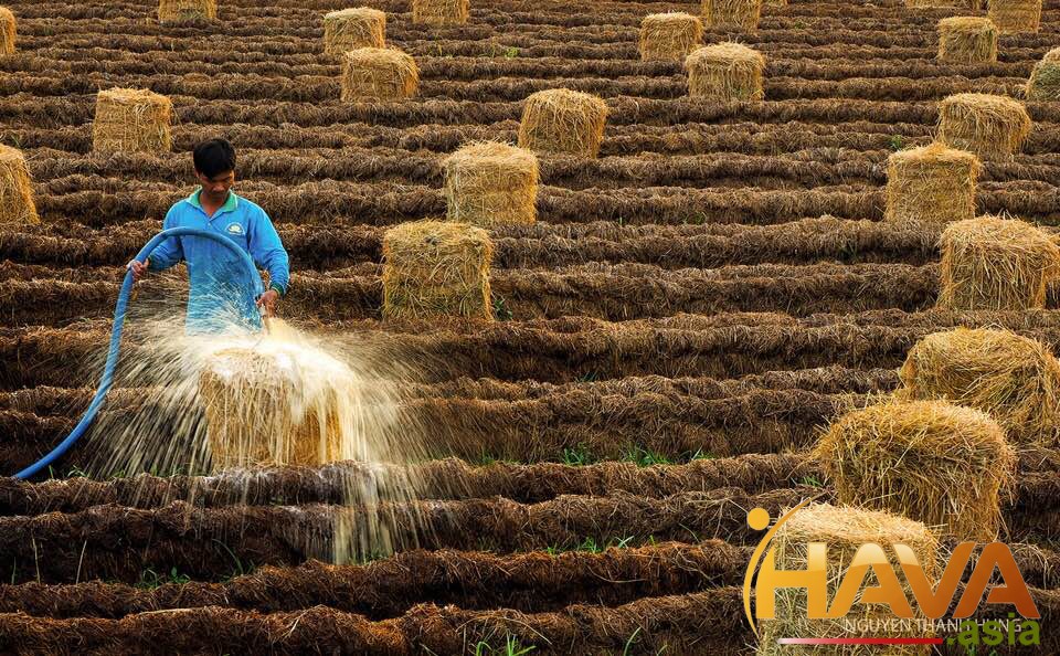 Vai Trò Trong Quản Trị Rủi Ro và Bảo Hiểm