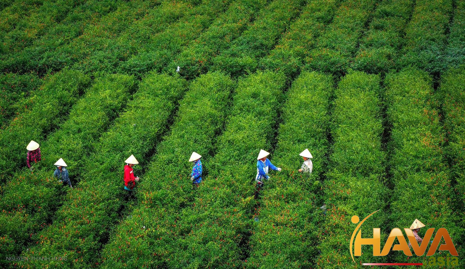 Chắp Cánh Cho Tinh Thần Đổi Mới