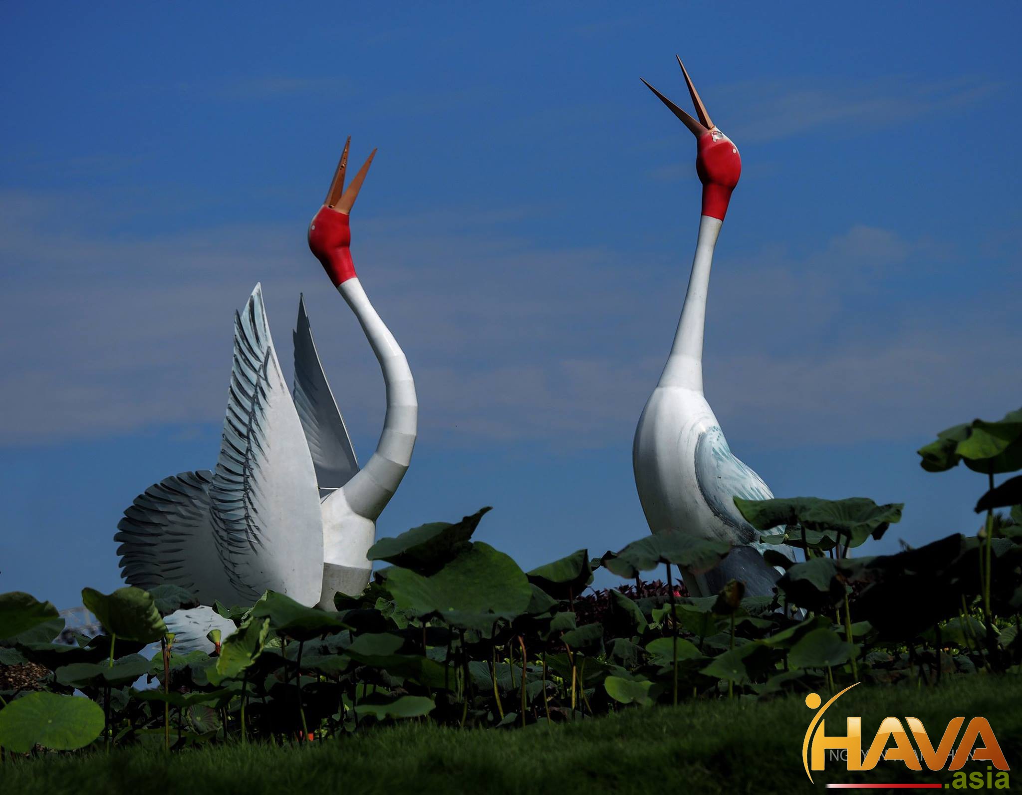 mỗi giai đoạn mang lại cơ hội và rủi ro khác nhau