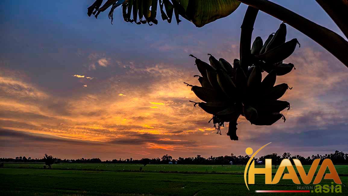 cảm xúc của nhà đầu tư thường dao động mạnh mẽ