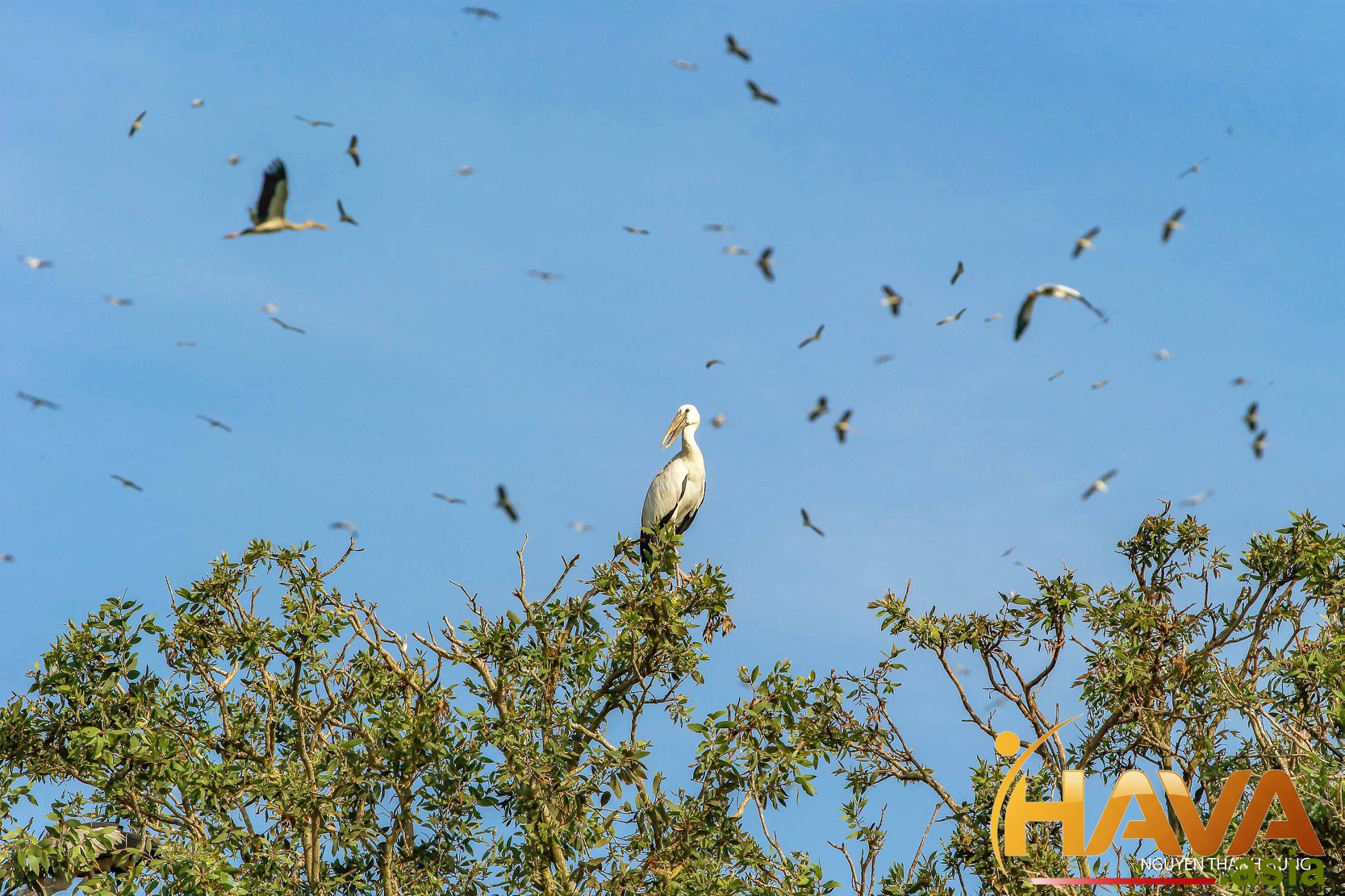 Biến mục tiêu của cá nhân thành động lực phát triển của tập thể