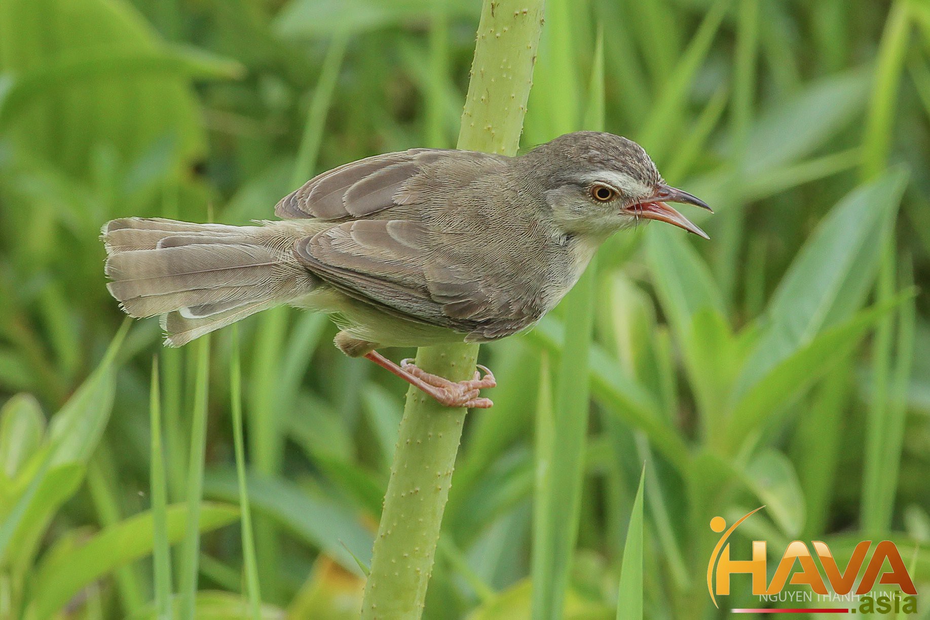 Hạnh phúc của bạn chính là thành công lớn nhất của chúng tôi