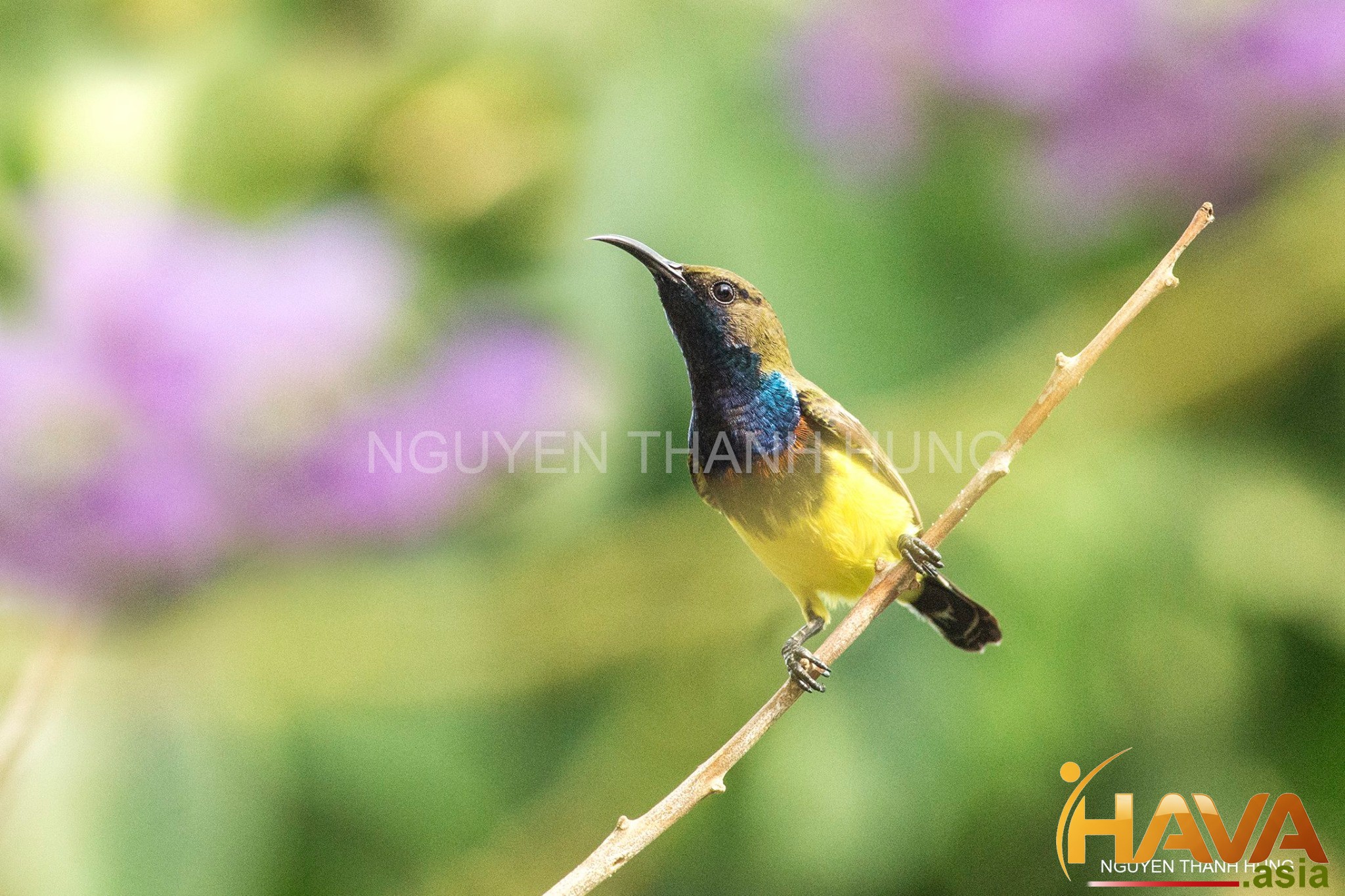 Khi Uy tín là loại tiền tệ đắt giá nhất