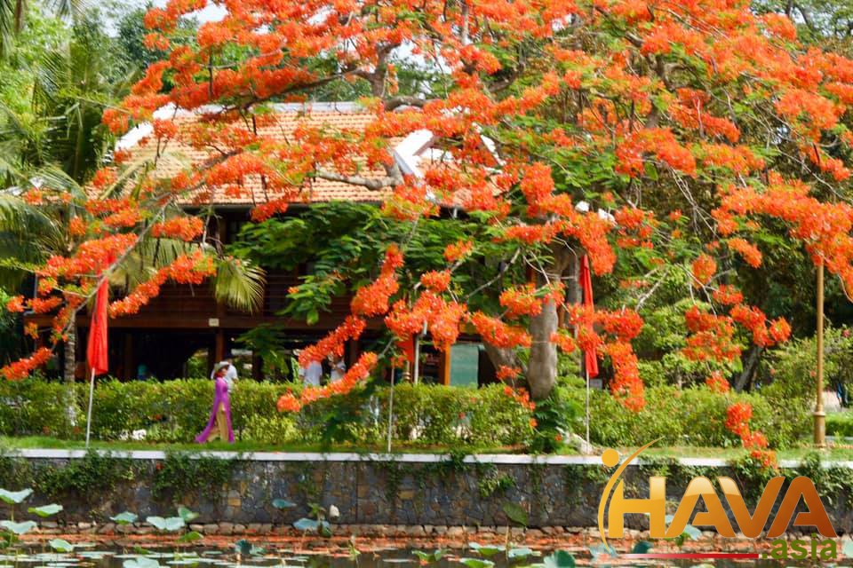 Chiến lược thực chiến, Giá trị bền vững