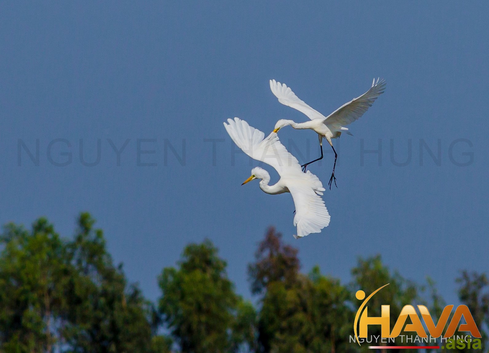 Nghệ thuật "Sống thử" – Sự chuẩn bị cho một cam kết dài hạn