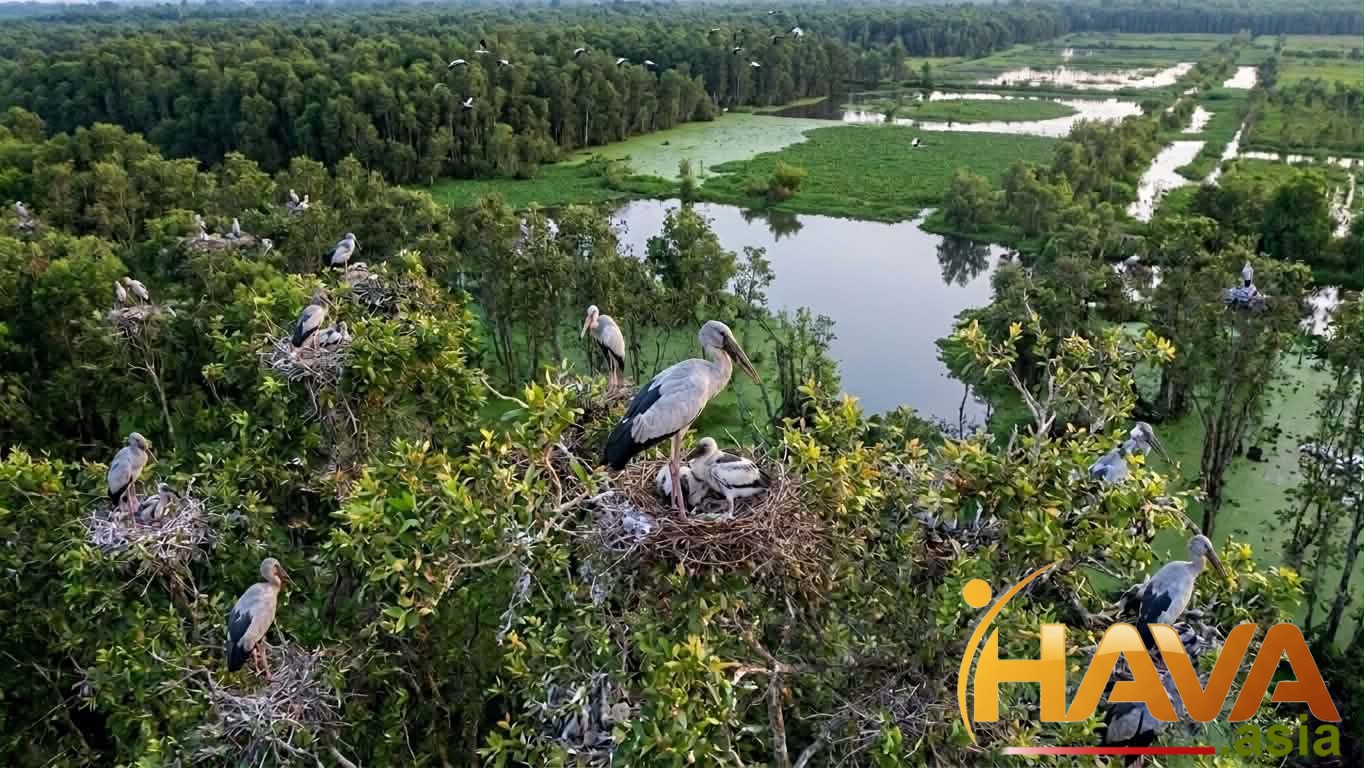 Chính sách lợi ích toàn diện và minh bạch