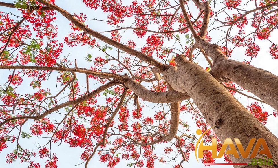 chiến lược đón đầu hạ tầng liên vùng