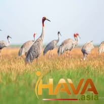 Phương án tối ưu và hiệu quả nhất cho từng vị thế doanh nghiệp