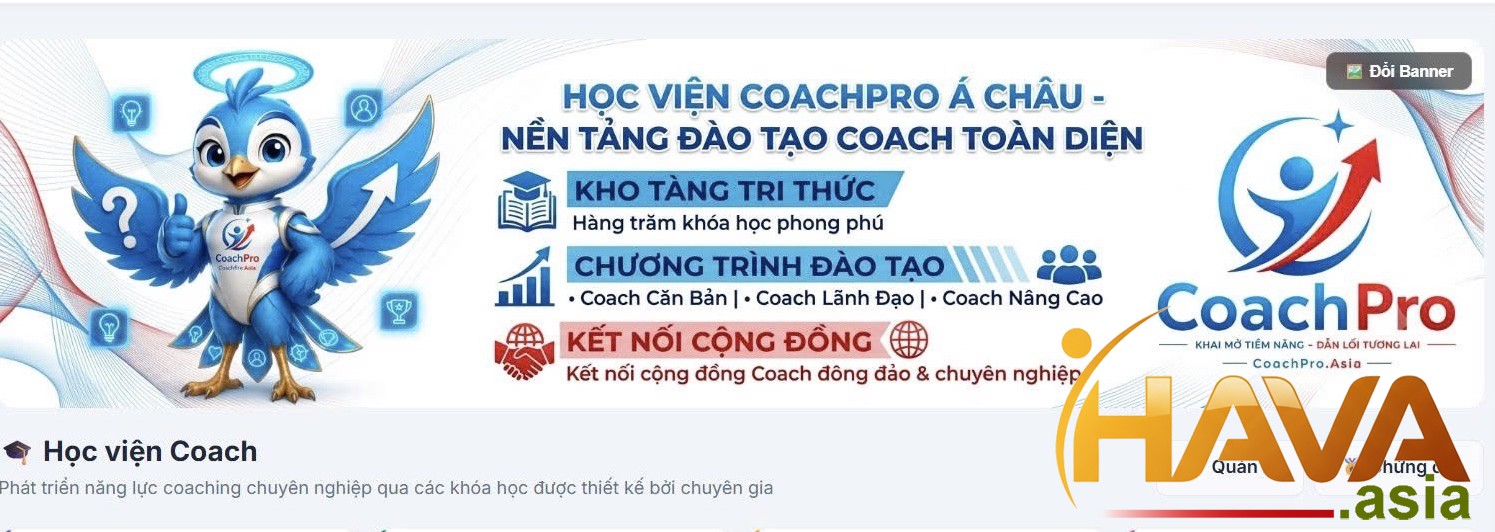 Hệ Sinh Thái Nâng Tầm Năng Lực Lãnh Đạo